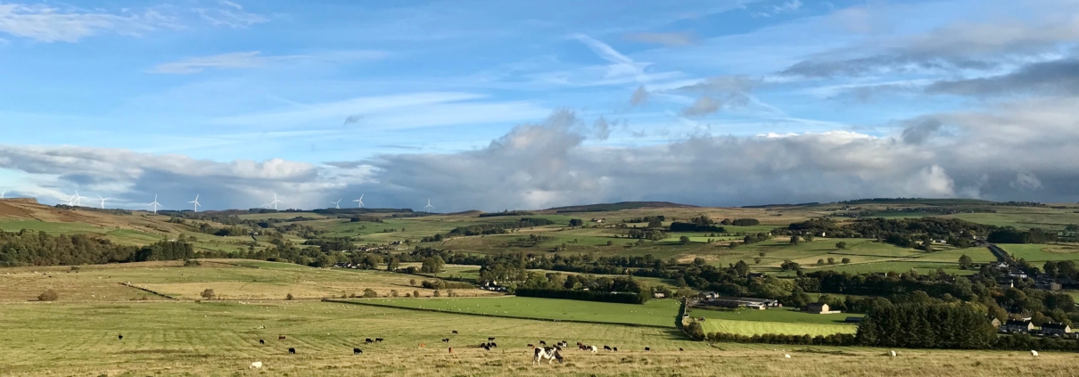 View from the Road