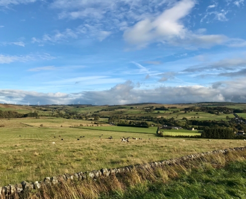 View from the Road