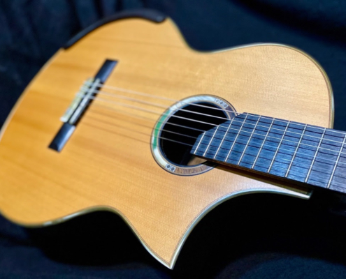 Guitar
